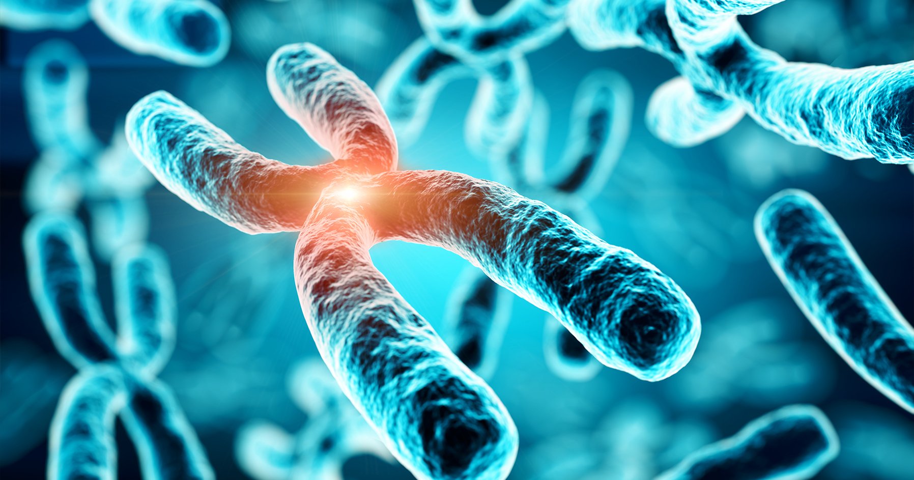 Hipofosfatemia y manifestaciones reumatológicas: el caso de XLH y TIO